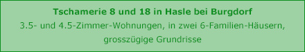 5.5 Zimmer-Wohnungen in Sumiswald, Neufeld 29